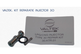 Kit reparatie injector Valtek tip 30